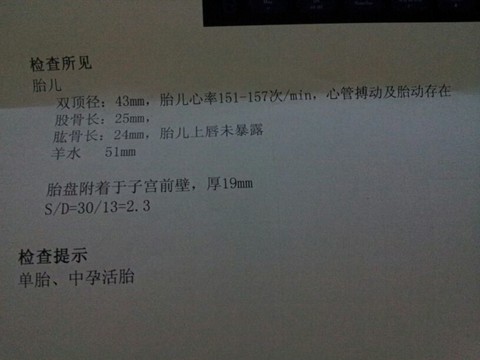 journal_insert_pic_137056951