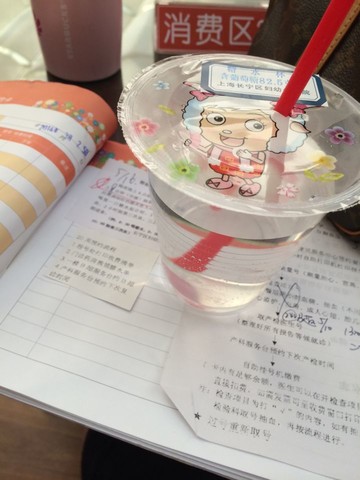 journal_insert_pic_137102129