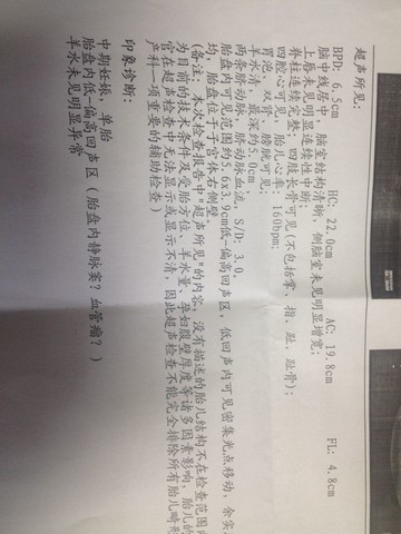 journal_insert_pic_137582916