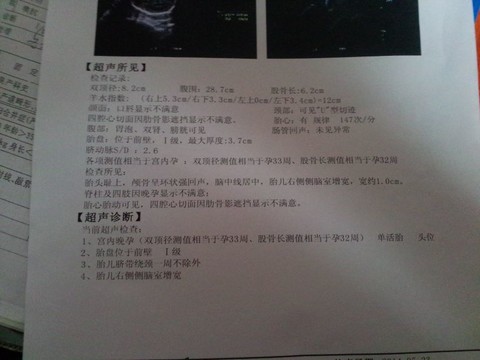 journal_insert_pic_138033267
