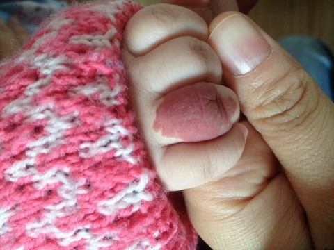 journal_insert_pic_138187561