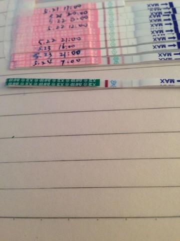journal_insert_pic_138079118