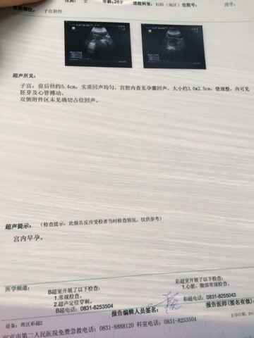 journal_insert_pic_138520250