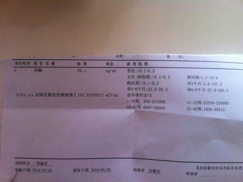 journal_insert_pic_138952019