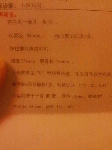 journal_insert_pic_139600971