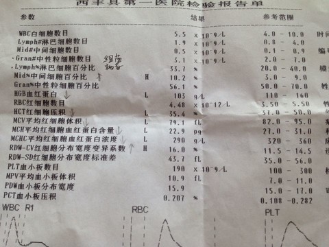 journal_insert_pic_139805319