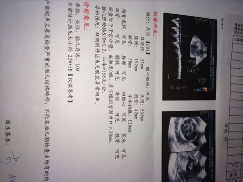 journal_insert_pic_140138161