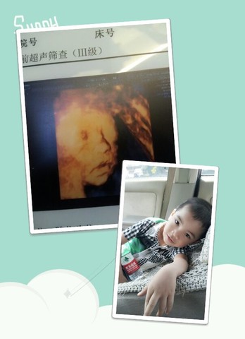 journal_insert_pic_140360385