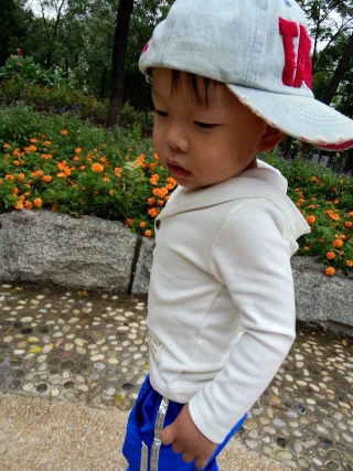 journal_insert_pic_141166508