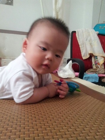 journal_insert_pic_141540292