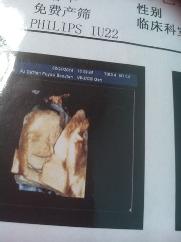 journal_insert_pic_142066353