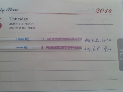journal_insert_pic_142618053
