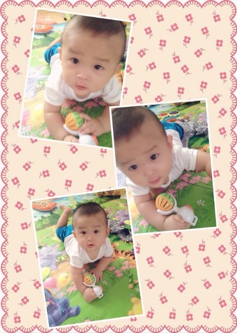 journal_insert_pic_142963341