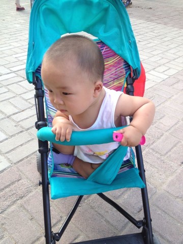 journal_insert_pic_142915326