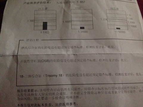 journal_insert_pic_142959098