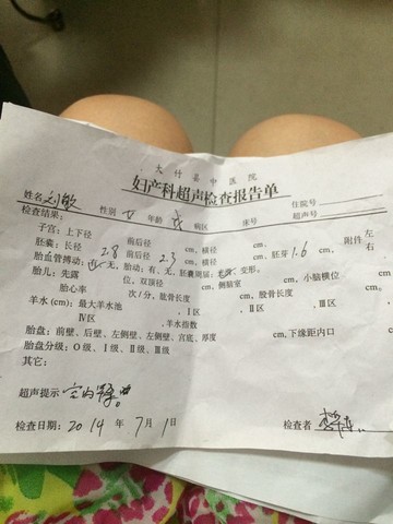 journal_insert_pic_142881211