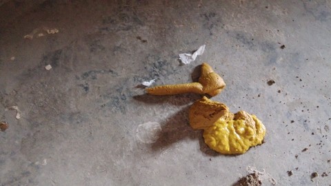 跪求济南的宝妈(母乳)