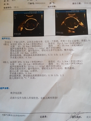 journal_insert_pic_143859563