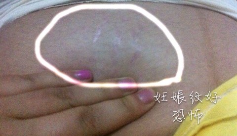 journal_insert_pic_144246168