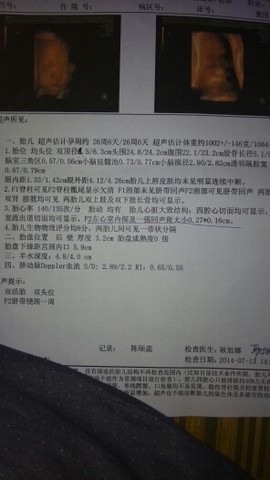 journal_insert_pic_144378081