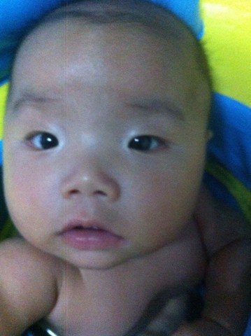 journal_insert_pic_145666058