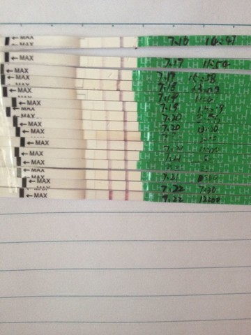 journal_insert_pic_145670952
