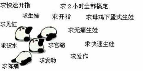 journal_insert_pic_146429783