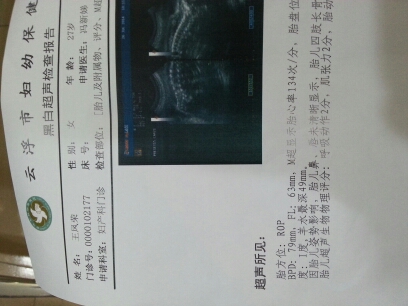 journal_insert_pic_146499831