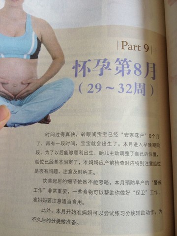 journal_insert_pic_146510851