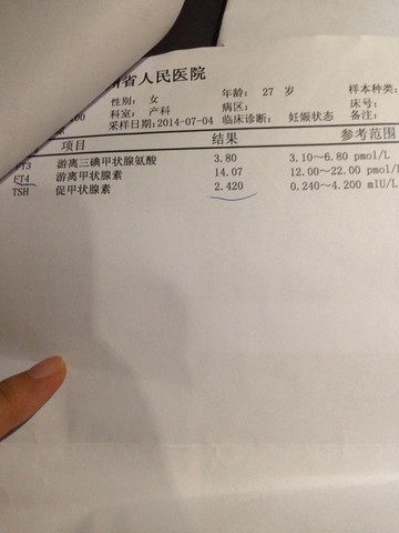 journal_insert_pic_147459128