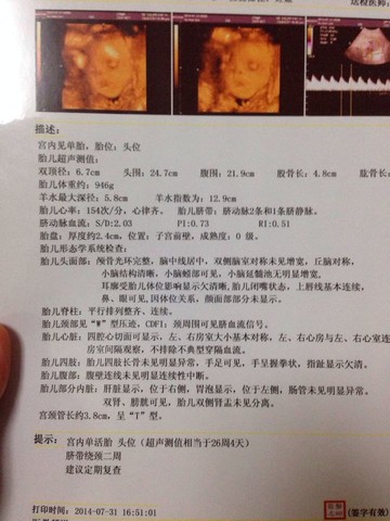journal_insert_pic_147458308