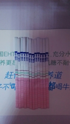 journal_insert_pic_147556547