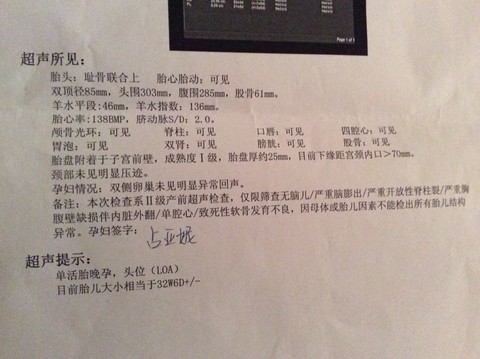 journal_insert_pic_147758991
