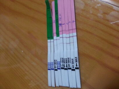journal_insert_pic_147823127