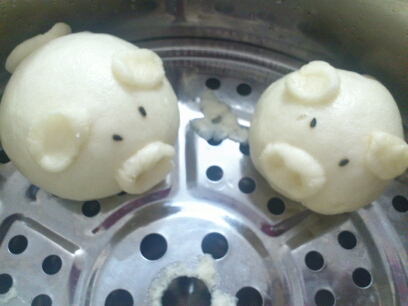 journal_insert_pic_148599544