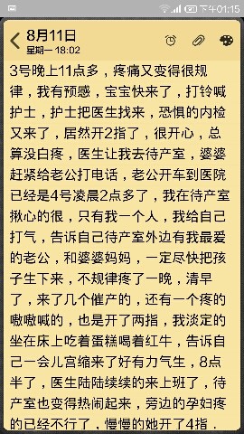 journal_insert_pic_149356750