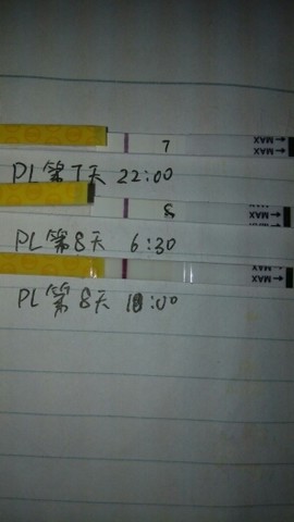journal_insert_pic_149496394