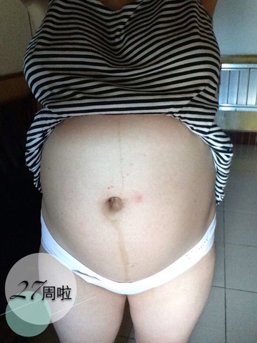 journal_insert_pic_149819053
