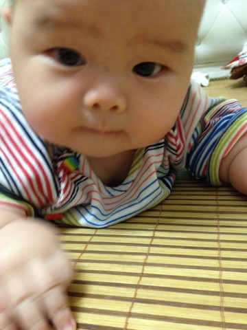 journal_insert_pic_150696909