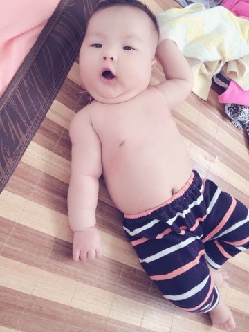 journal_insert_pic_151054291