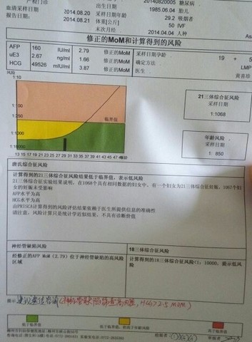 journal_insert_pic_151356112