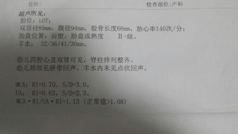 journal_insert_pic_151773640