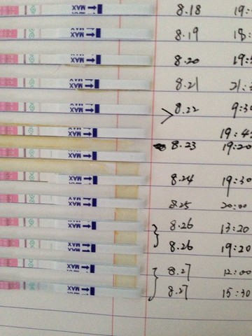 journal_insert_pic_151726761