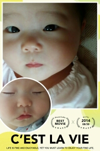journal_insert_pic_152411416
