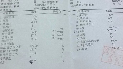 journal_insert_pic_152420967