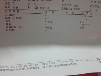 journal_insert_pic_152927022