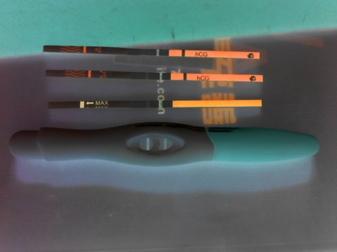 journal_insert_pic_153122383