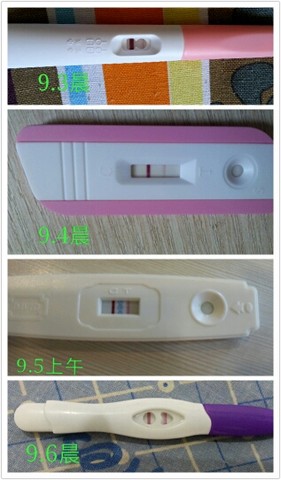 journal_insert_pic_153237822