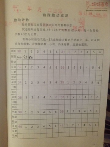 journal_insert_pic_153303779