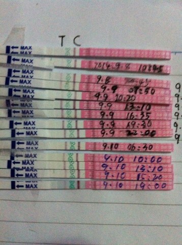 journal_insert_pic_153936658